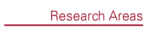 Research Areas